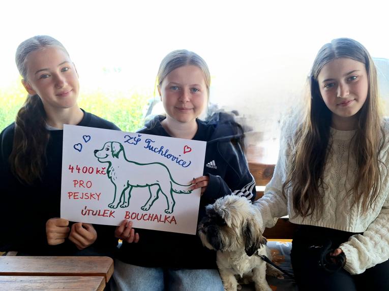 Kája, Verča a Terka si hned získaly přízeň nesmělé psí slečny